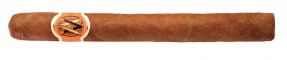 AVO XO Maestoso продаются в упаковках по 4, 25шт. 