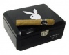 Playboy Robusto продаются в упаковках по 15, 24шт.